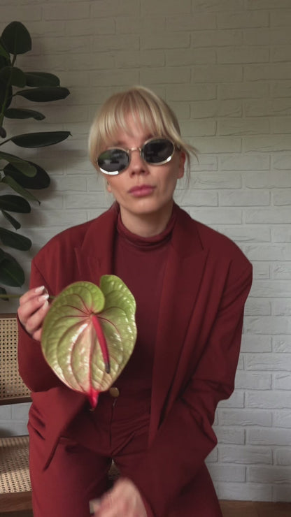 Marynarka Rosa